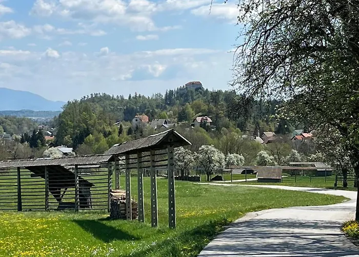 Mountain Vista Apartment